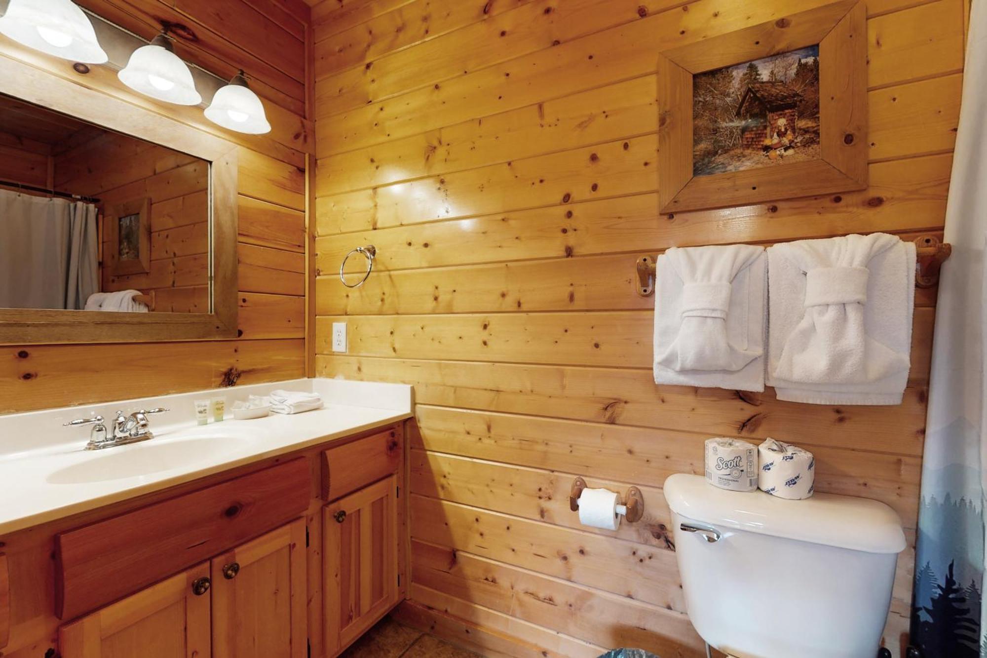 Black Bear Overlook Holiday home
